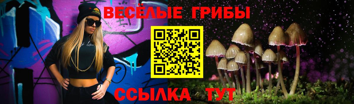 Соль-Илецк  Псилоцибиновые грибы прущие грибы  Вход с VPN  Псилоцибиновые грибы Cubensis 